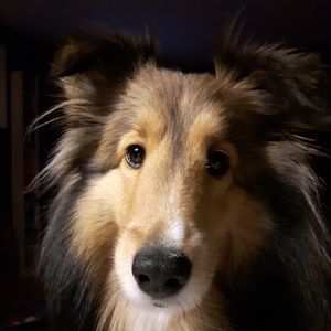 Meet your Posher, Darlene